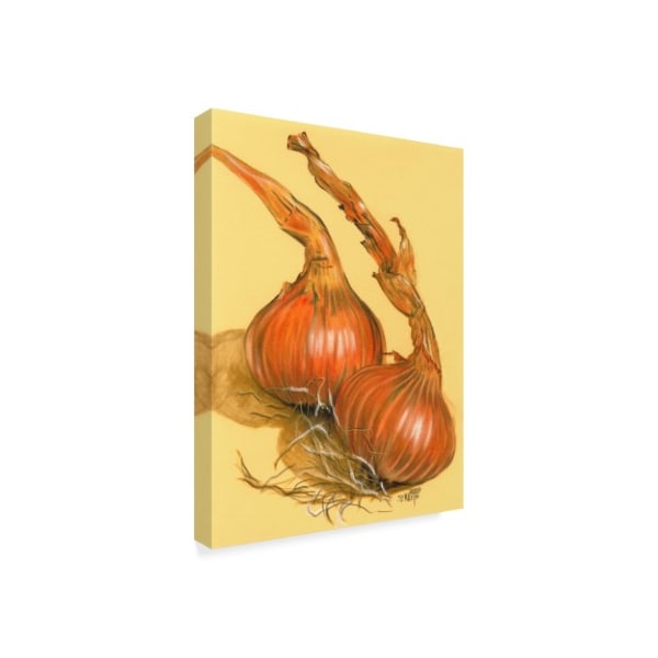 Barbara Keith 'Spanish Onions' Canvas Art,24x32